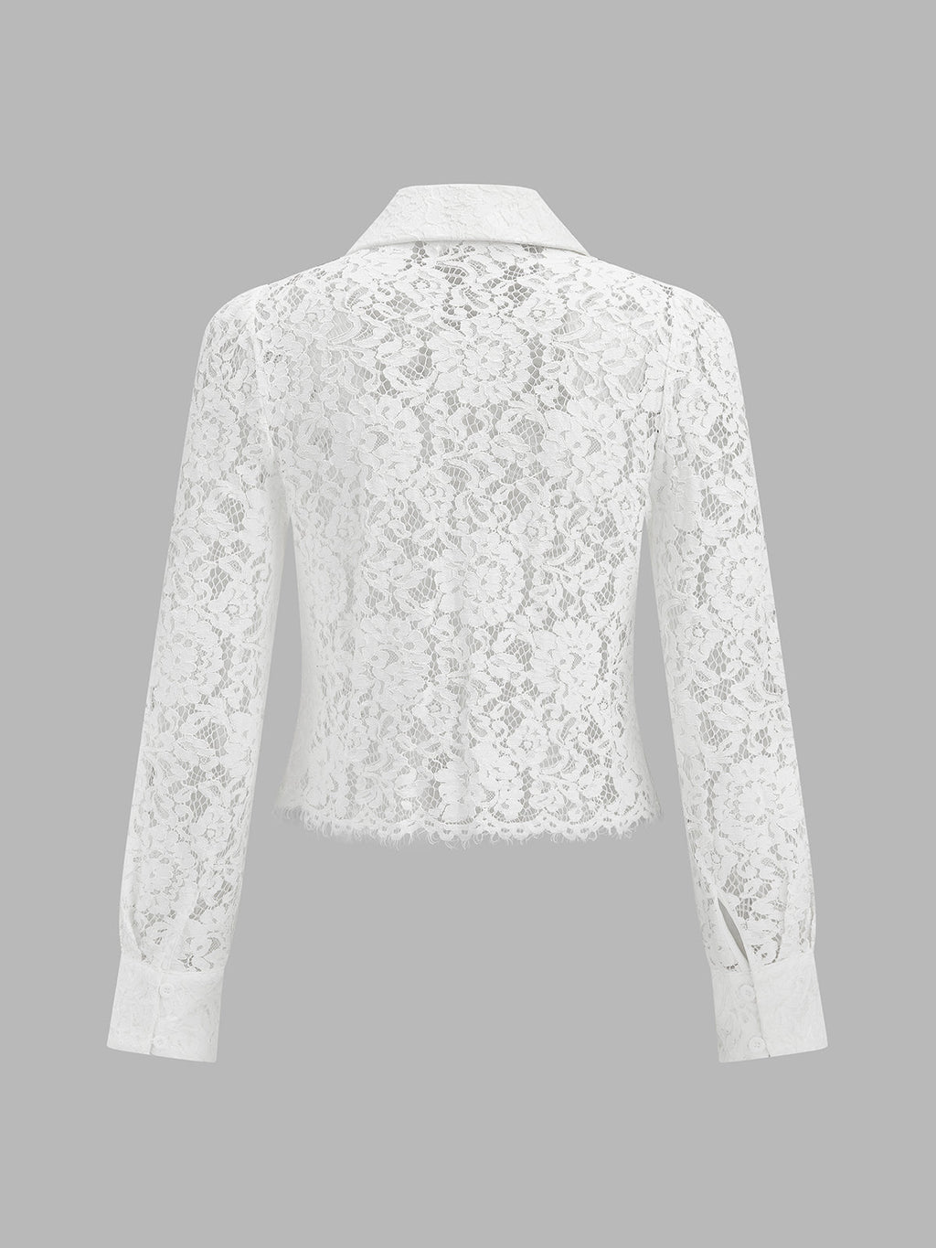 Semitransparente Floral Encaje Cropped botón Camisa