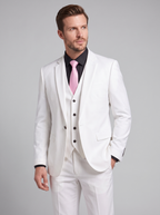 Traje de Dos Piezas · Slim Fit